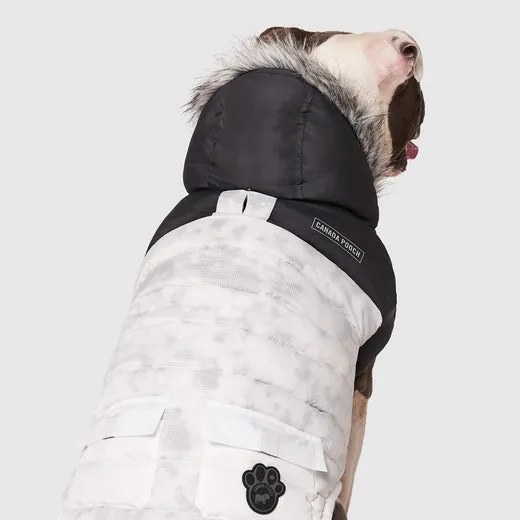 Canada Pooch Eco True North Marble Winter Dog Coat Parka