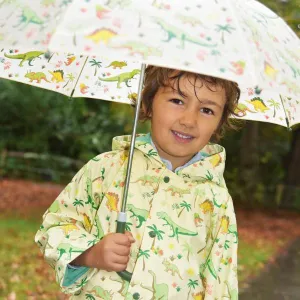 Dinosaur Raincoat