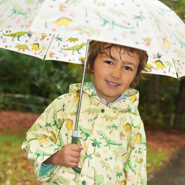 Dinosaur Raincoat