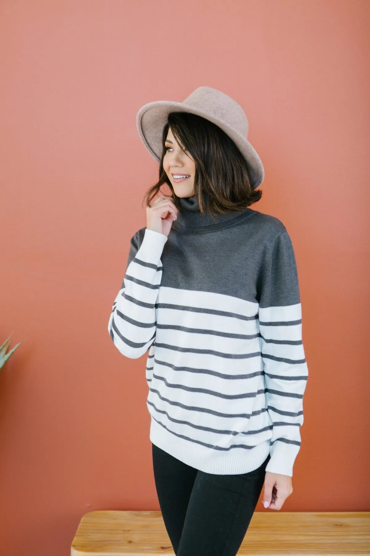Striped Contrast Turtleneck