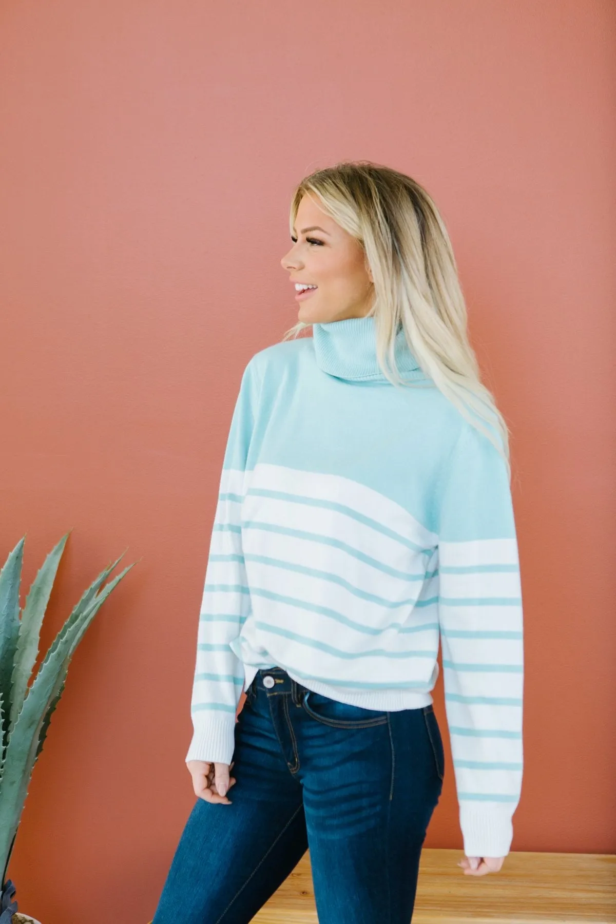 Striped Contrast Turtleneck