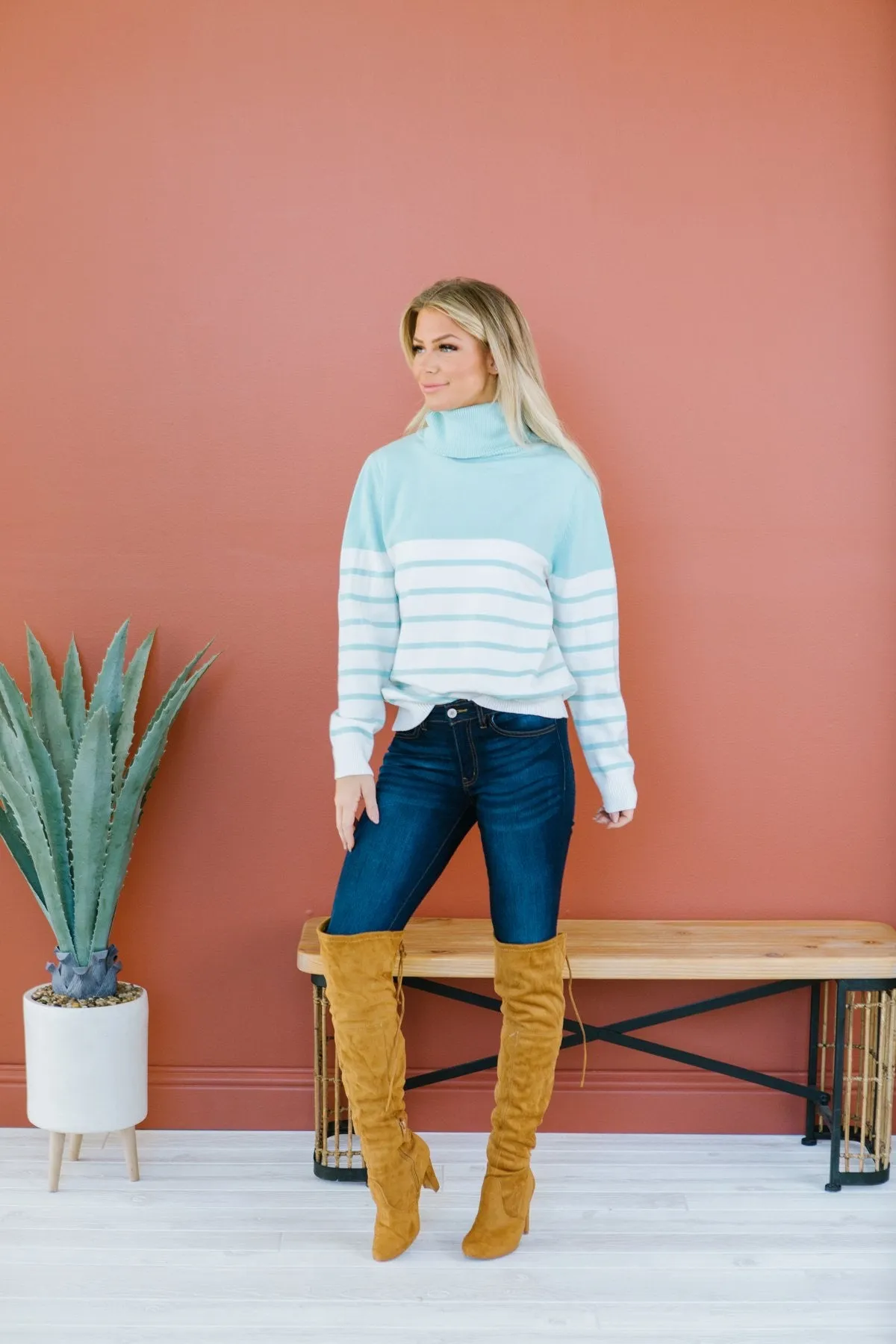Striped Contrast Turtleneck