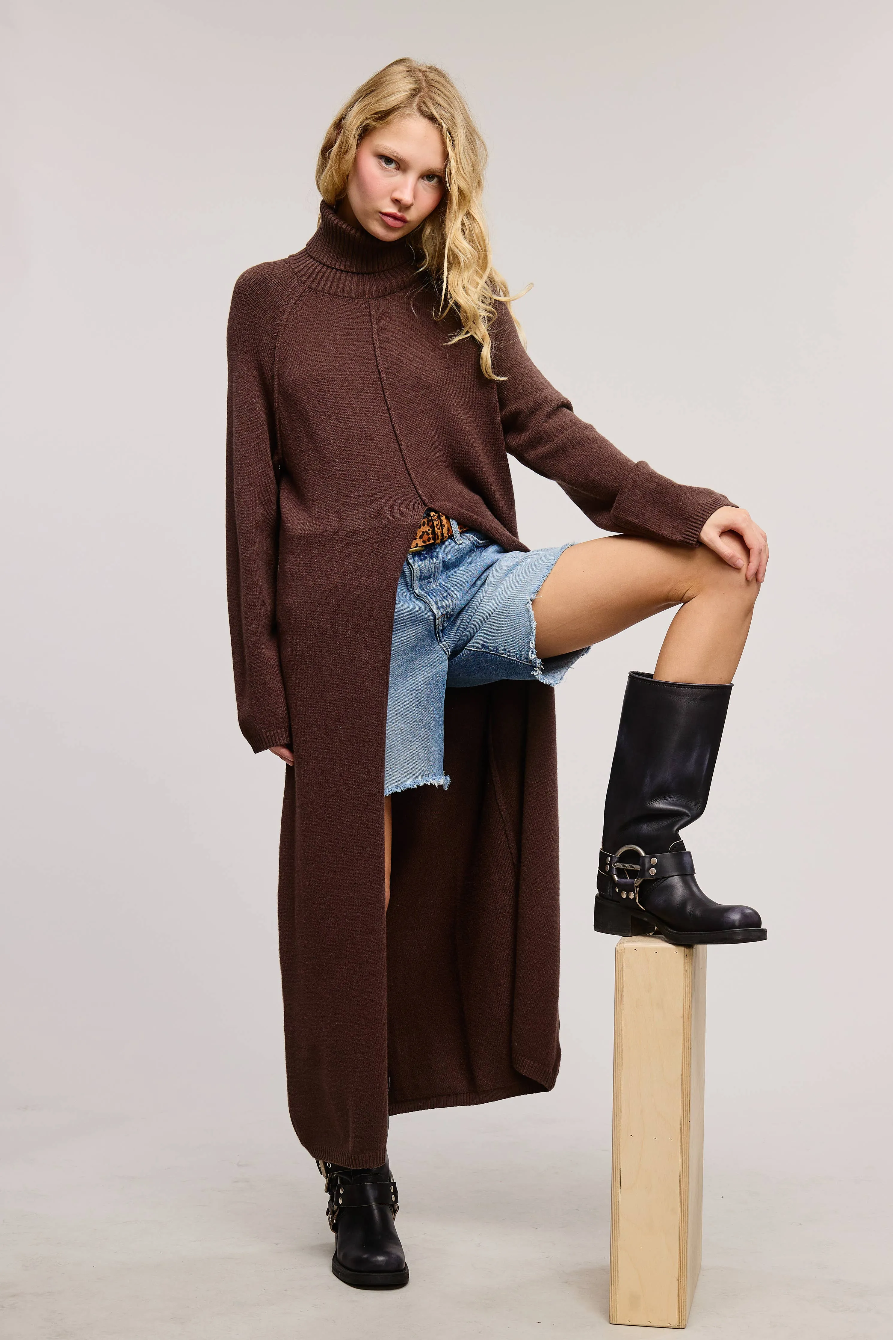 TURTLENECK TUNIC SWEATER DRESS